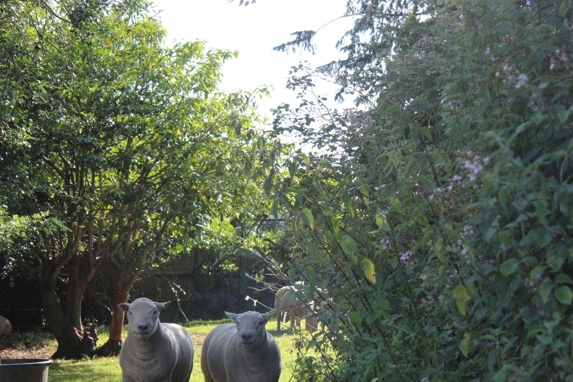 Parkfields Barns Self Catering Accommodation Бакингем Экстерьер фото