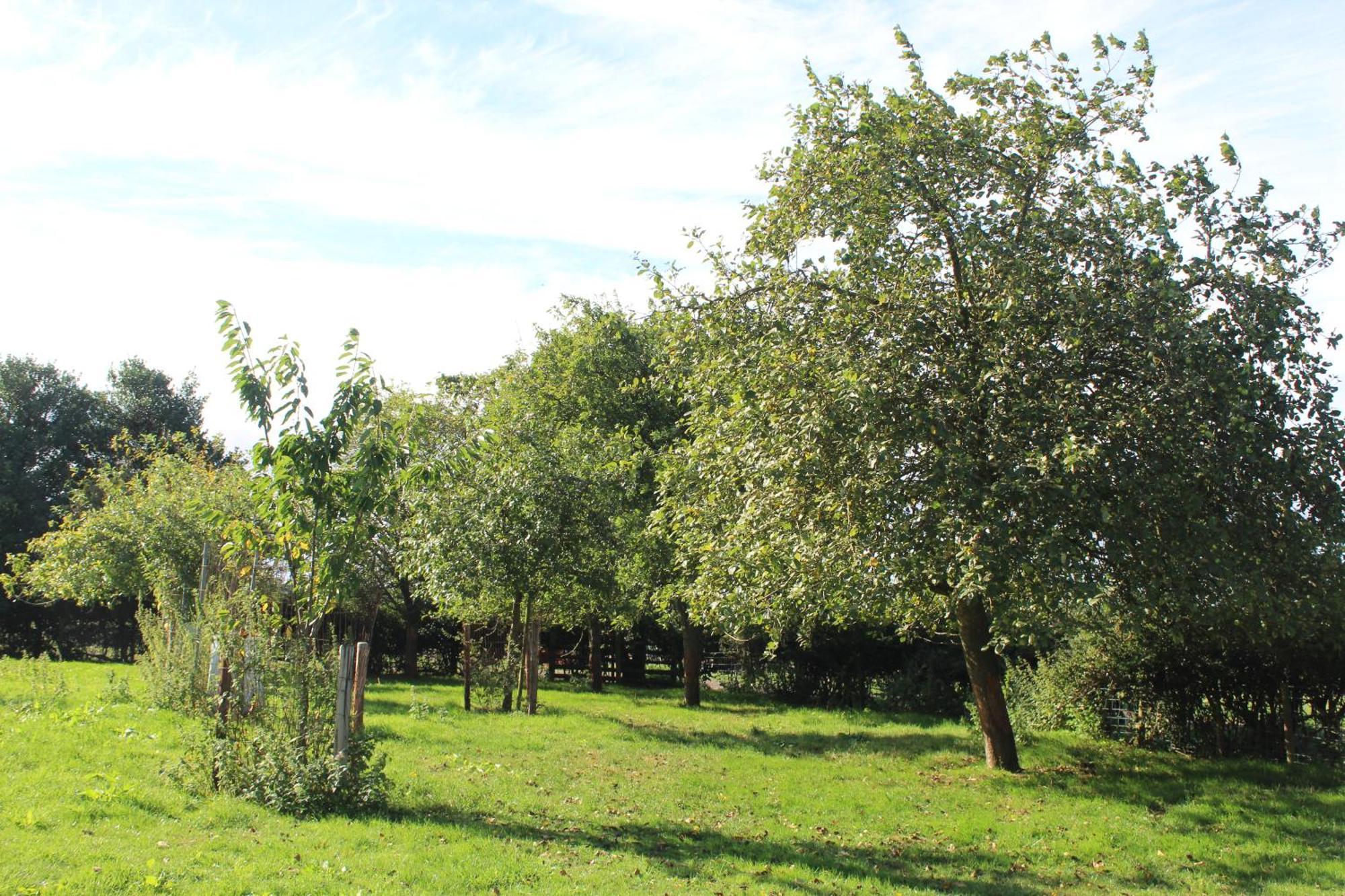 Parkfields Barns Self Catering Accommodation Бакингем Экстерьер фото